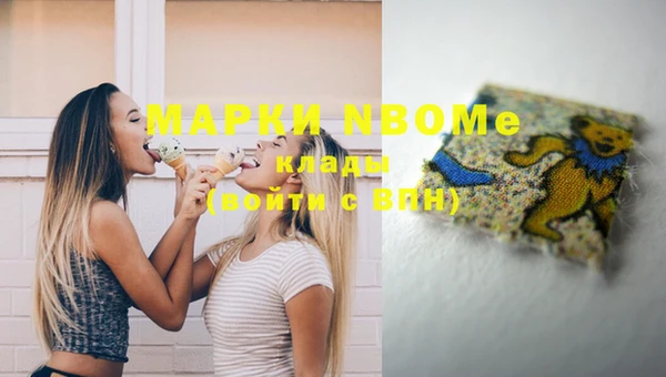 СК Зеленокумск