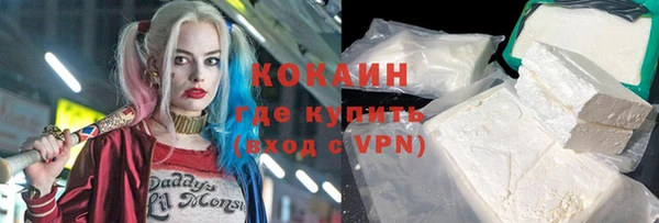 СК Зеленокумск