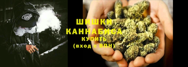 СК Зеленокумск