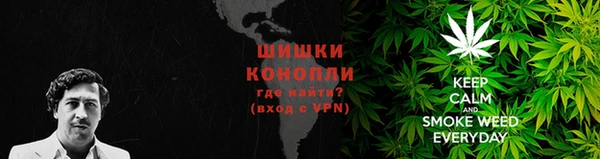 СК Зеленокумск