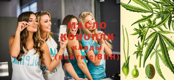 дмт Зеленодольск
