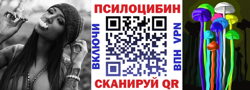 Купить где  Вязники  Псилоцибиновые грибы MAGIC MUSHROOMS 