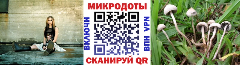 Галлюциногенные грибы GOLDEN TEACHER Вязники