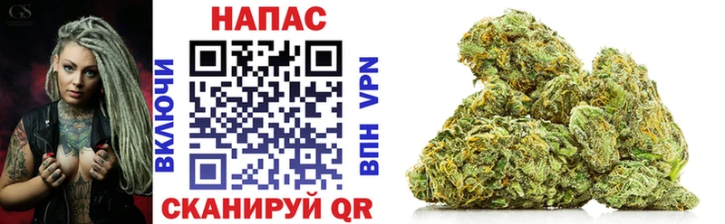 Купить где  Вязники  Конопля Amnesia 